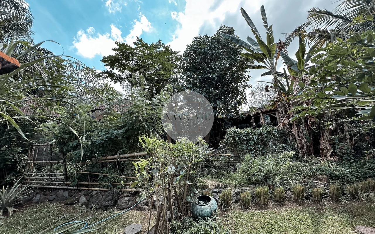 Villa Kaba | Jungle&River view