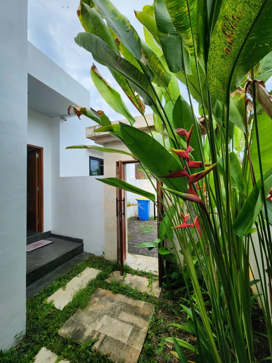 DO 444- VILLA MODERN MINIMALISH NUSA DUA