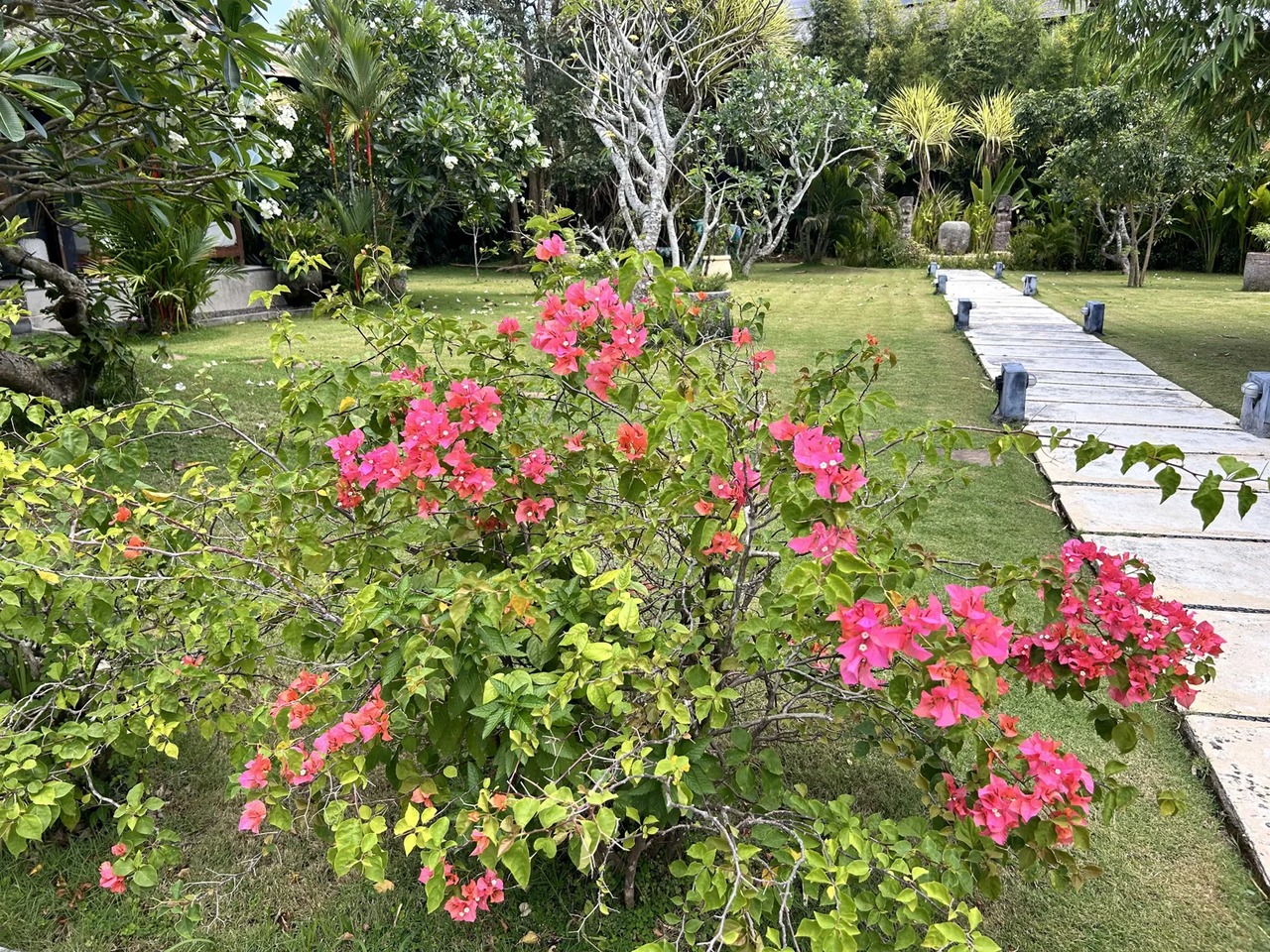 Beach house with lush garden
