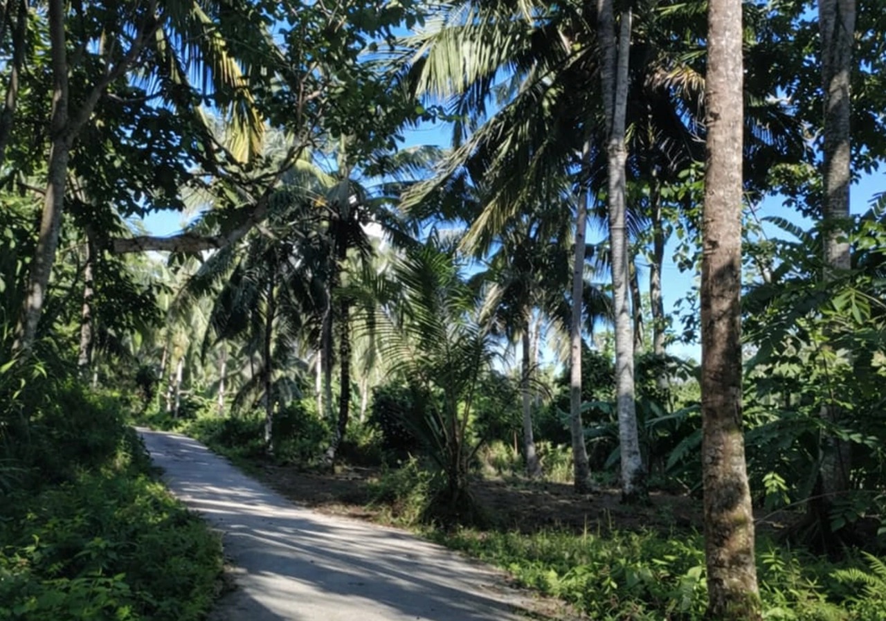 769m² of Coastal Freehold Land Mentawais