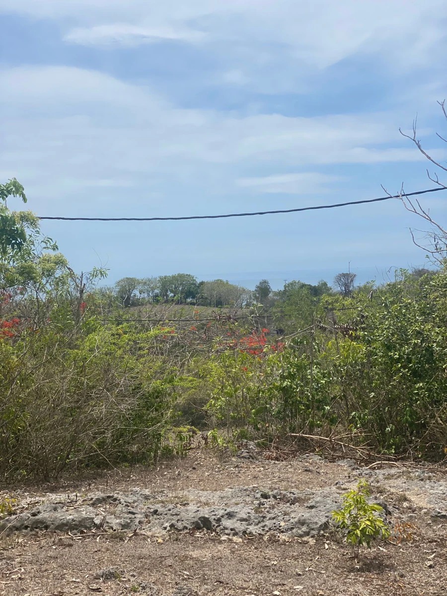 Freehold Land for Sale – Karang Putih
