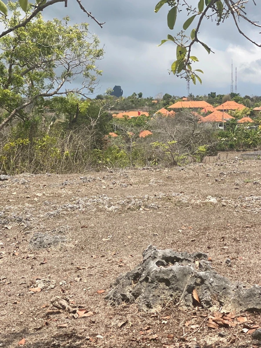 Freehold Land for Sale – Karang Putih