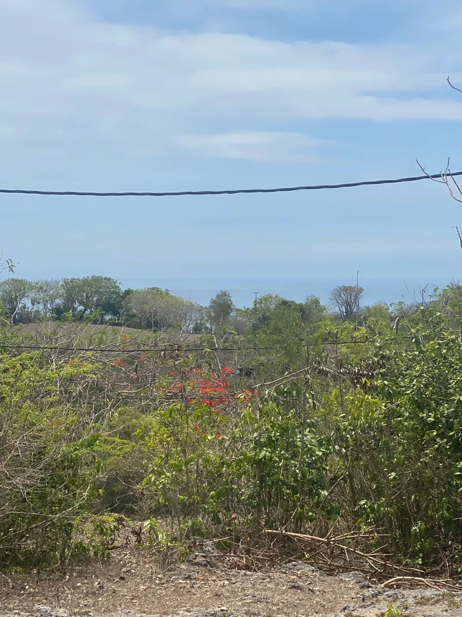 Freehold Land for Sale – Karang Putih