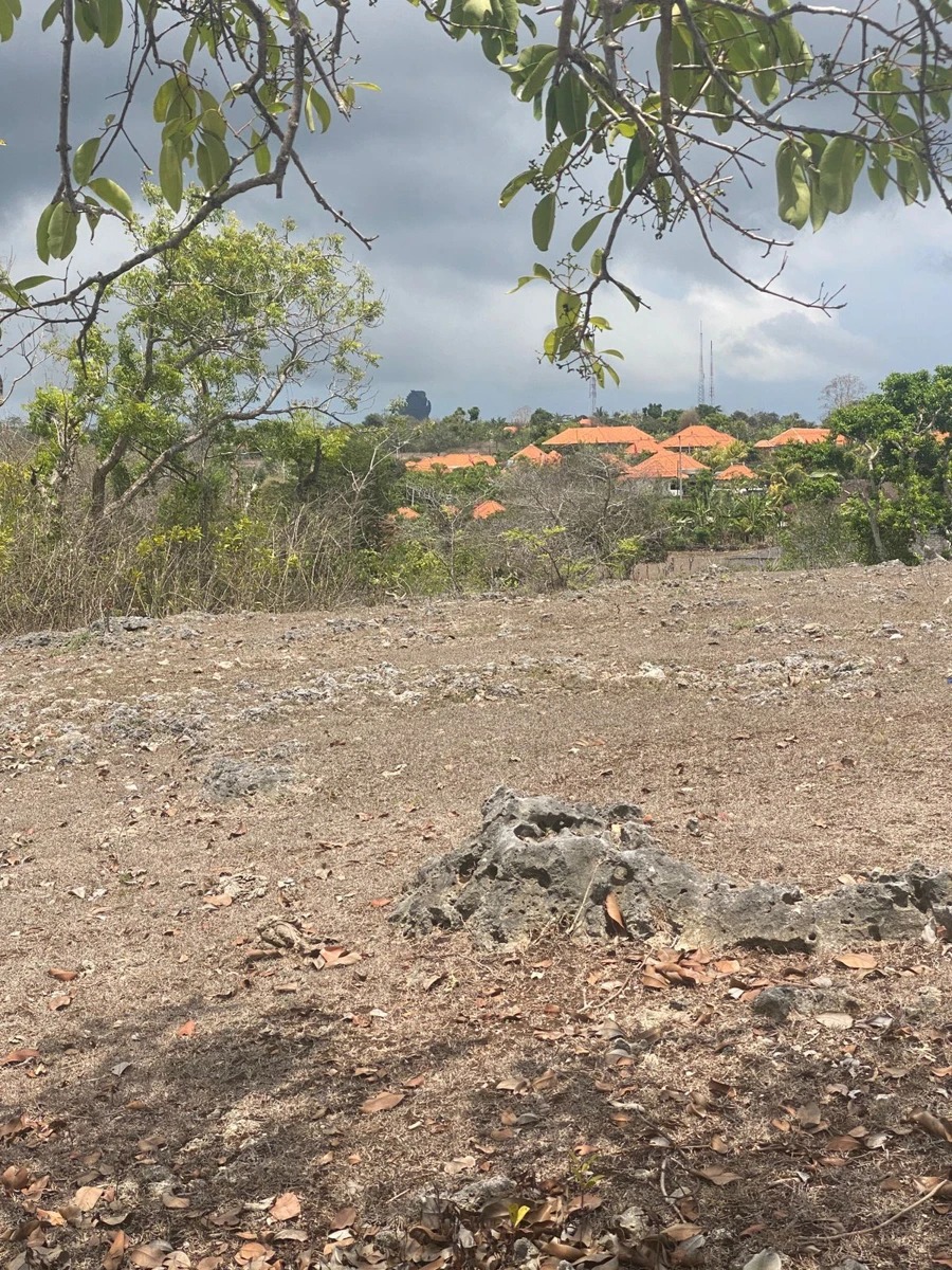 Freehold Land for Sale – Karang Putih