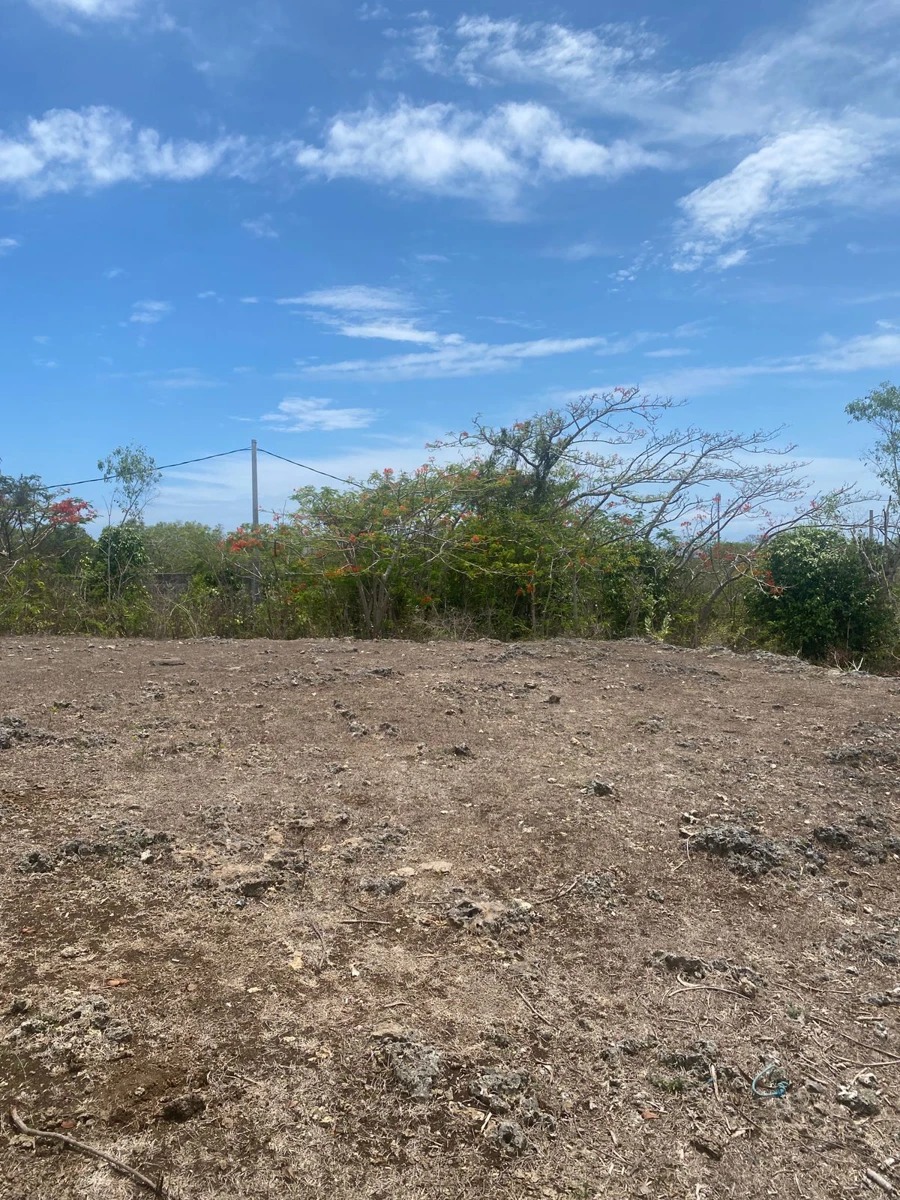 Freehold Land for Sale – Karang Putih