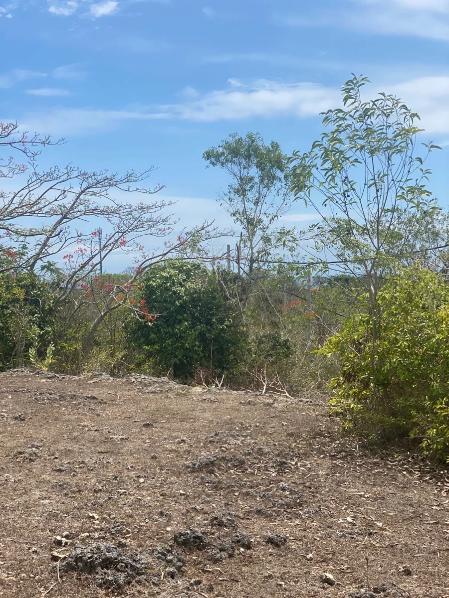 Freehold Land for Sale – Karang Putih