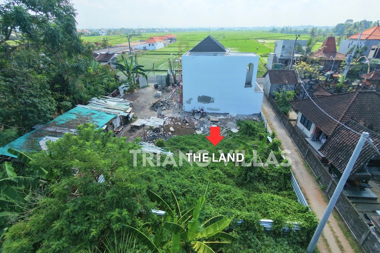 Private 2.27-Are Pink Zone Land