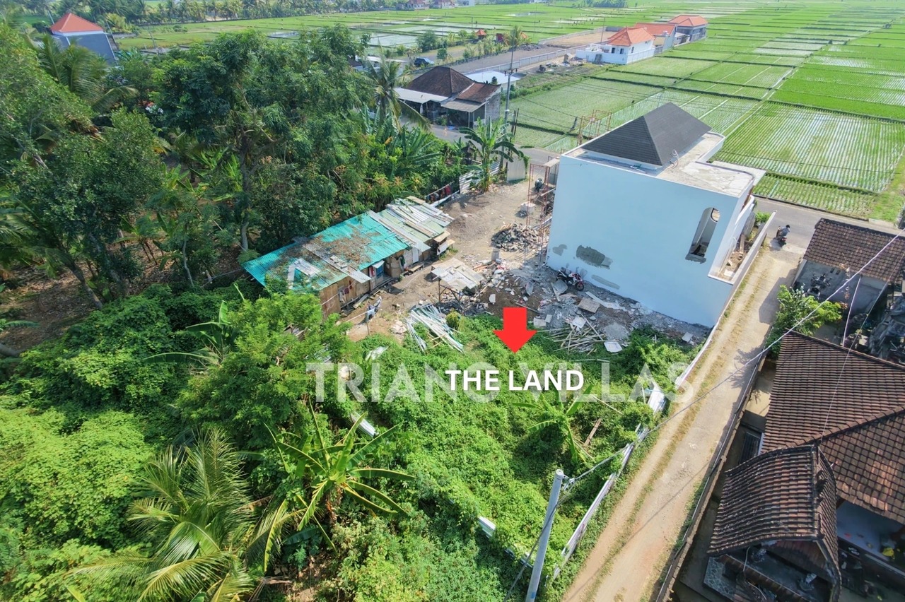 Private 2.27-Are Pink Zone Land