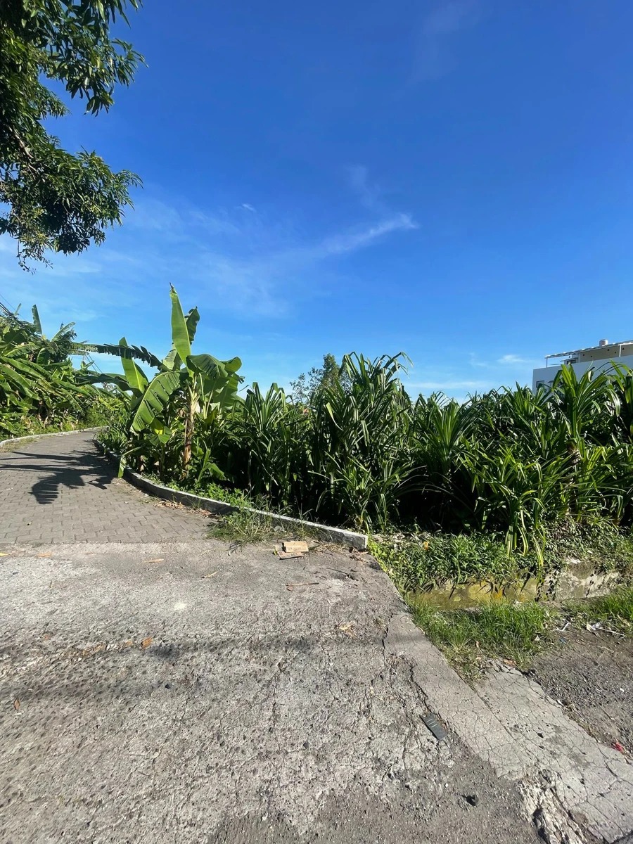Land for Lease - Buduk Selatan