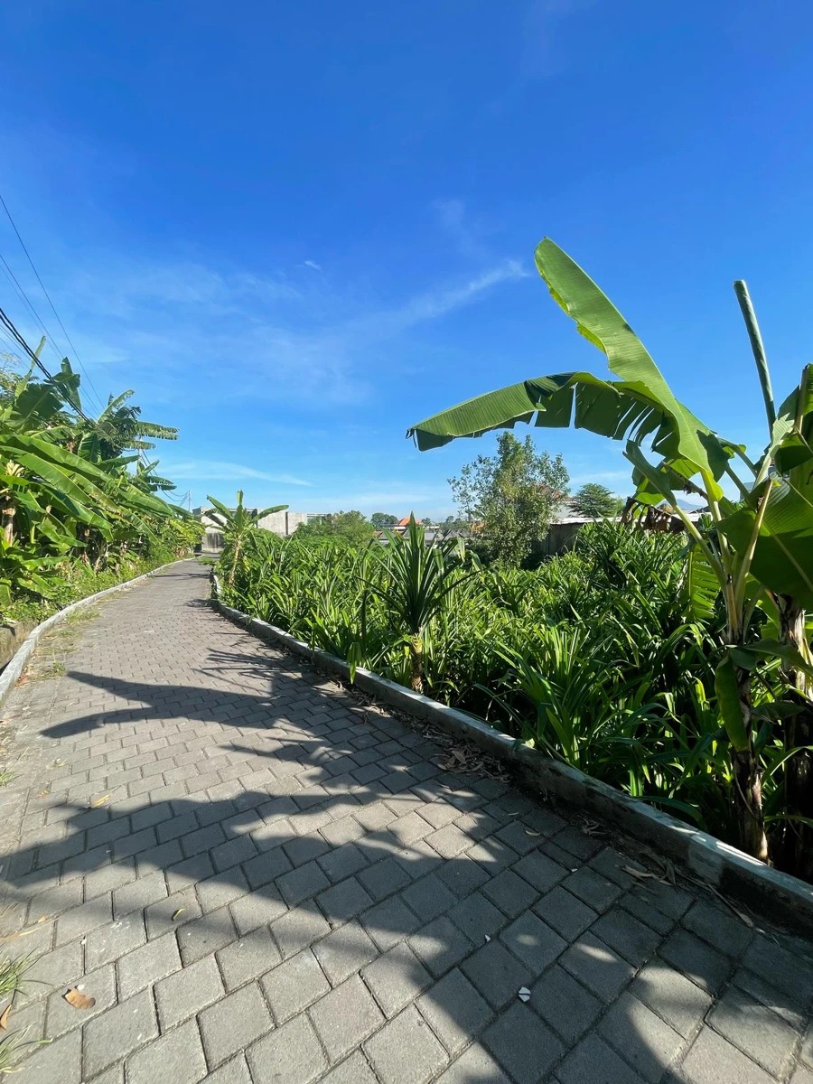 Land for Lease - Buduk Selatan