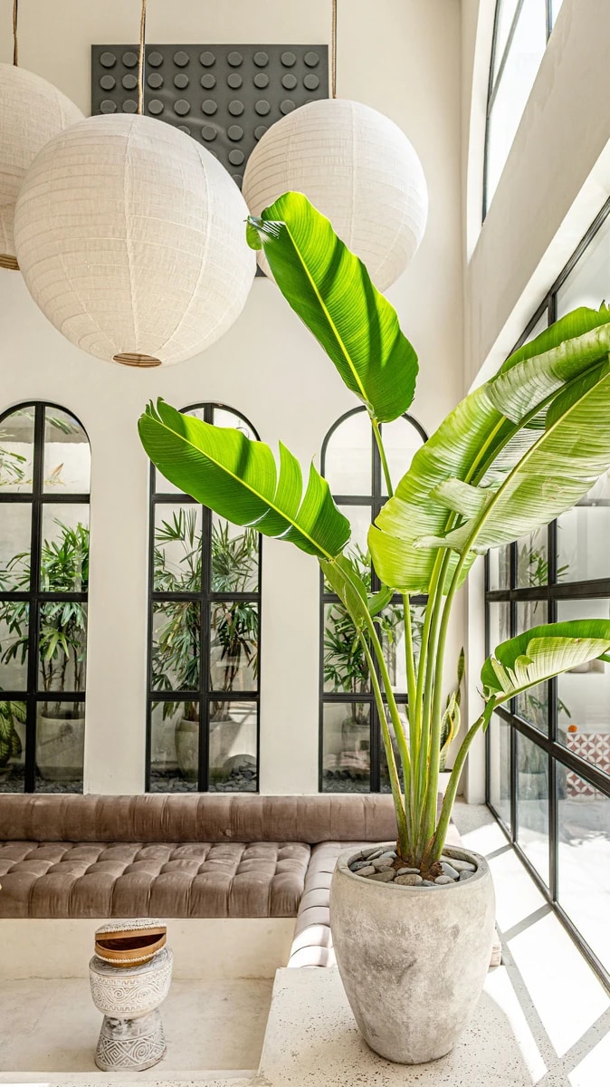 Rumah Cantika 1bed with private pool