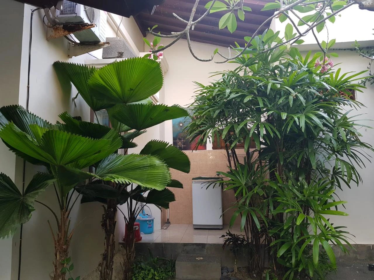 House in Mumbul