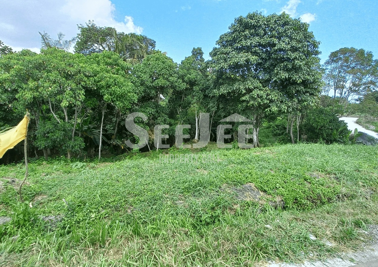 PRIME RIVERSIDE LAND FOR SALE IN KEDUNGU