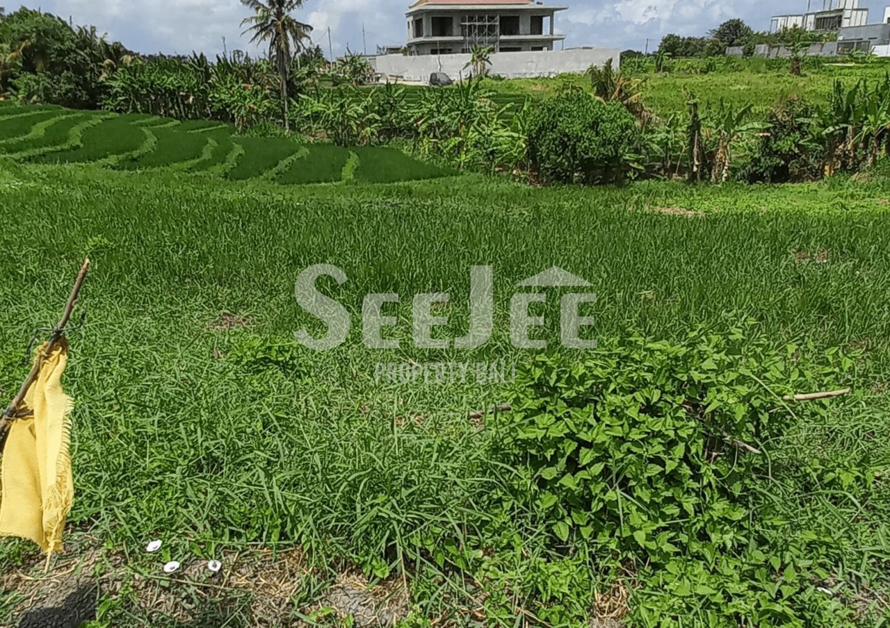 PRIME RIVERSIDE LAND FOR SALE IN KEDUNGU