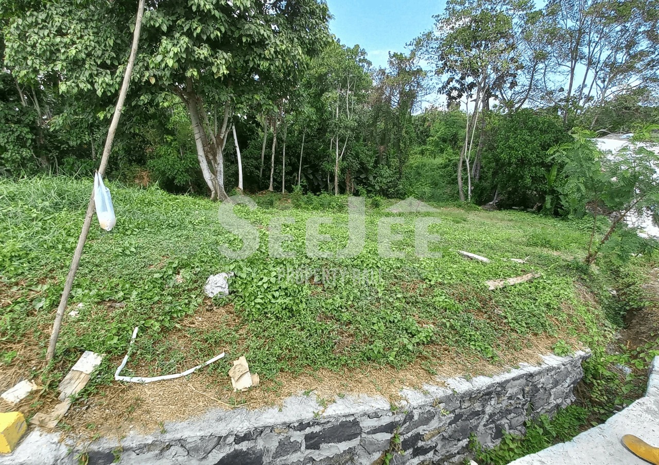PRIME RIVERSIDE LAND FOR SALE IN KEDUNGU