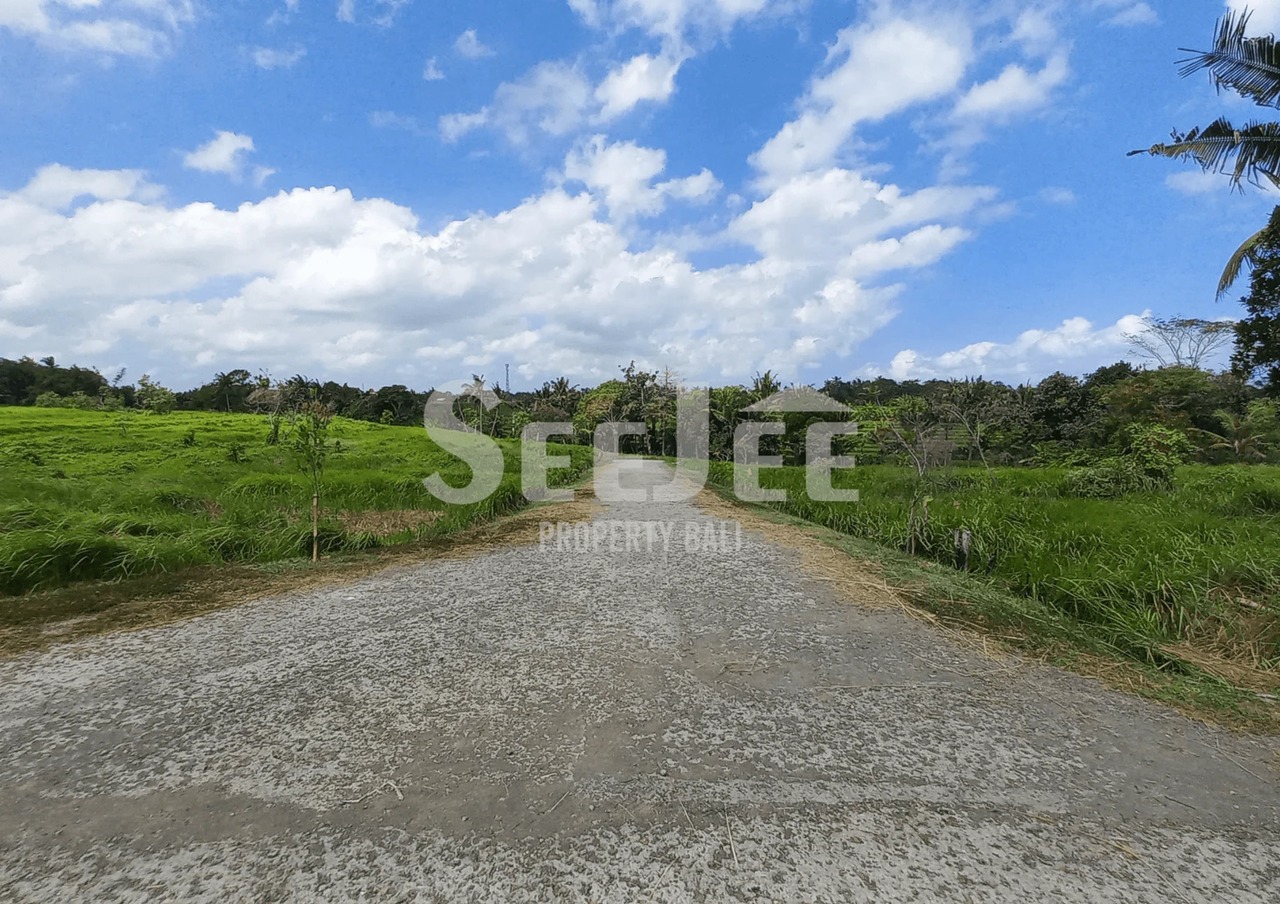 PRIME RIVERSIDE LAND FOR SALE IN KEDUNGU