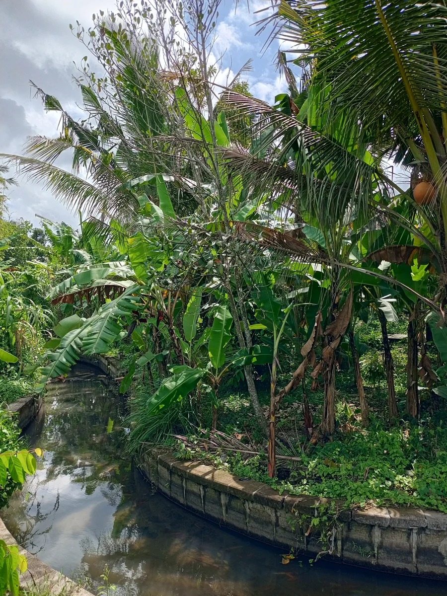 LEASEHOLD LAND 3 ARE IN KABA KABA