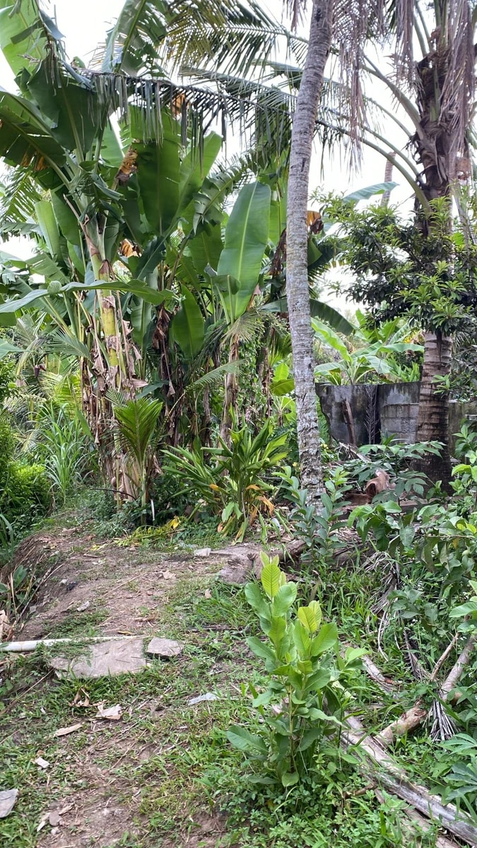 LEASEHOLD LAND 3 ARE IN KABA KABA
