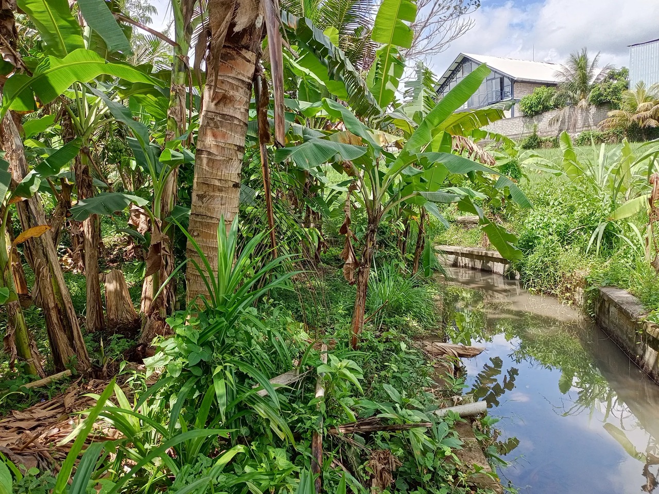 LEASEHOLD LAND 3 ARE IN KABA KABA