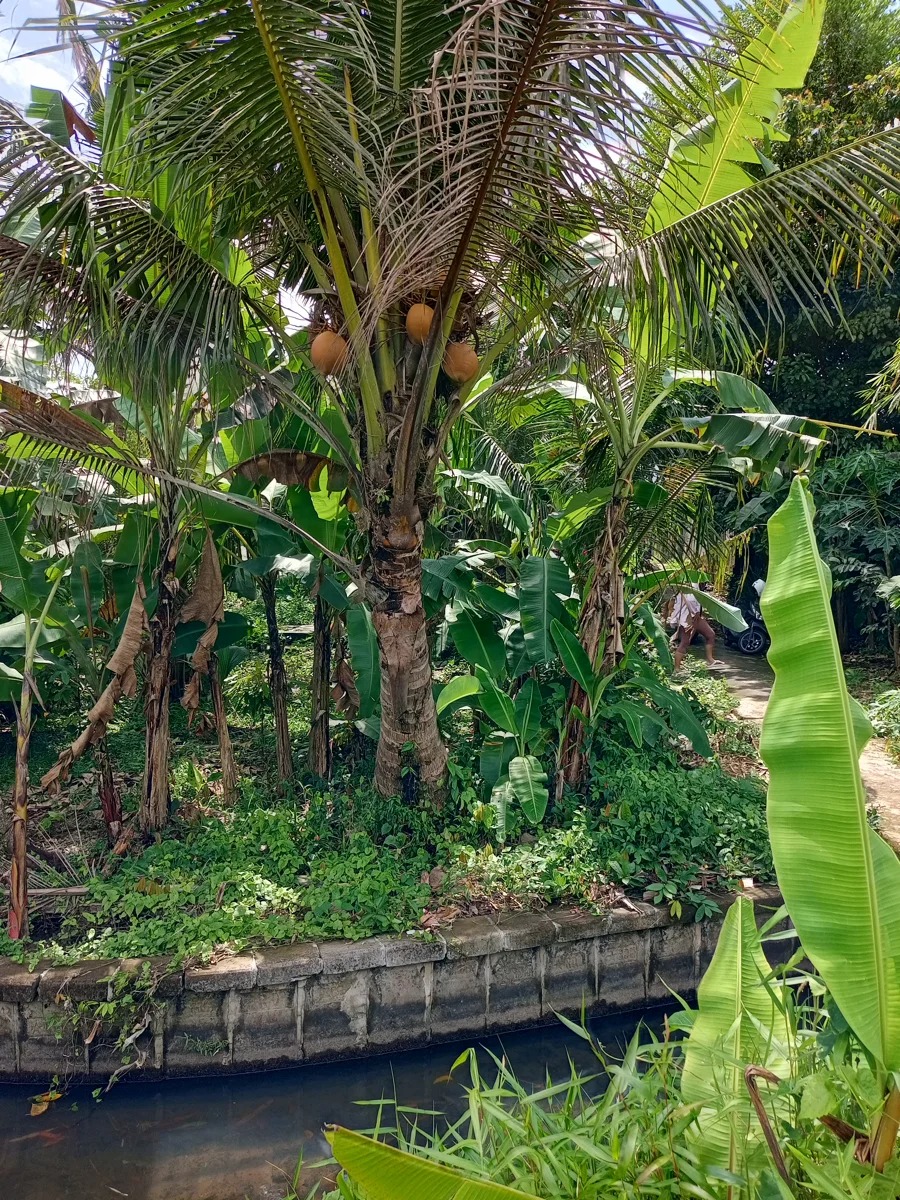 LEASEHOLD LAND 3 ARE IN KABA KABA