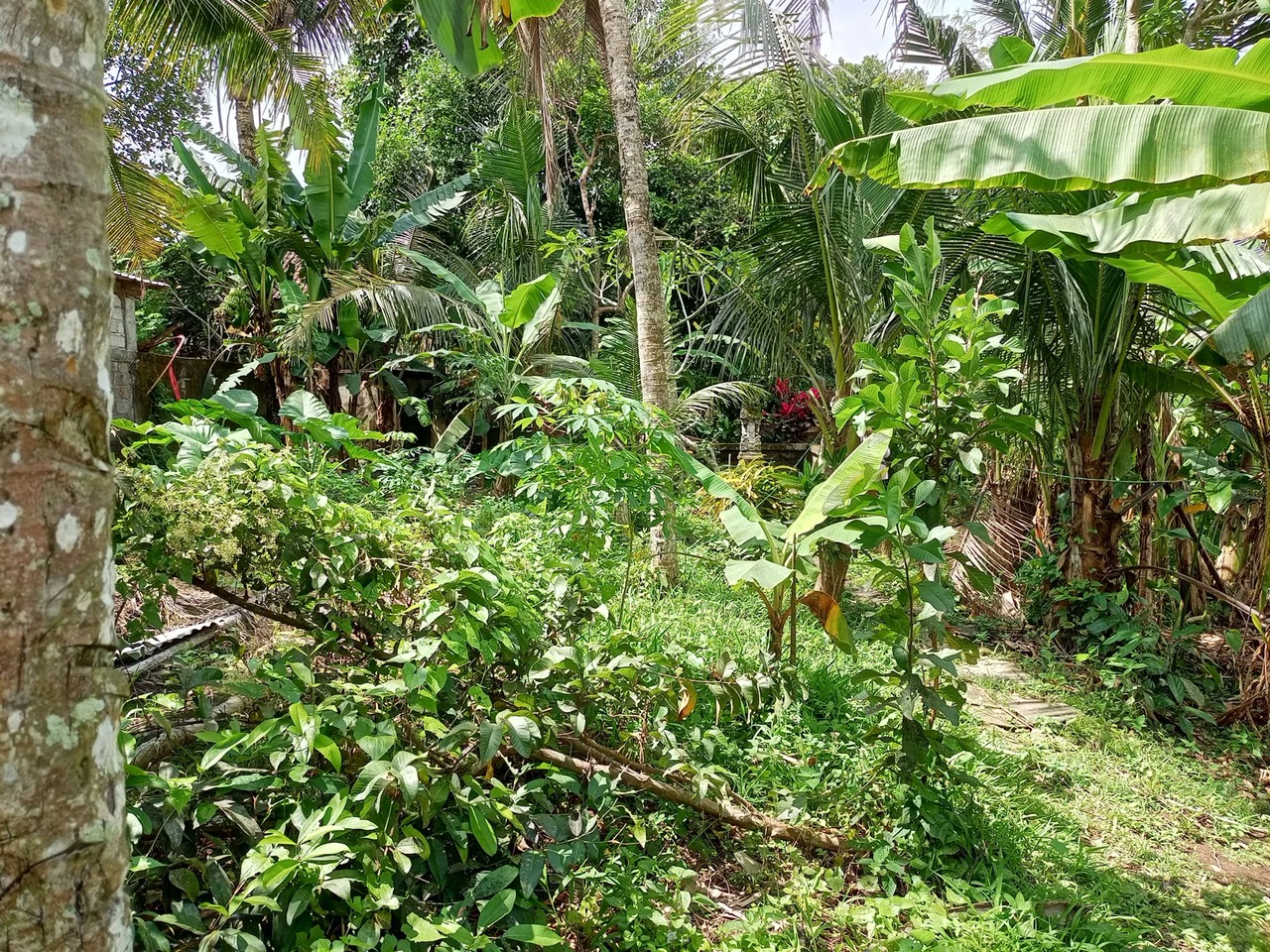 LEASEHOLD LAND 3 ARE IN KABA KABA