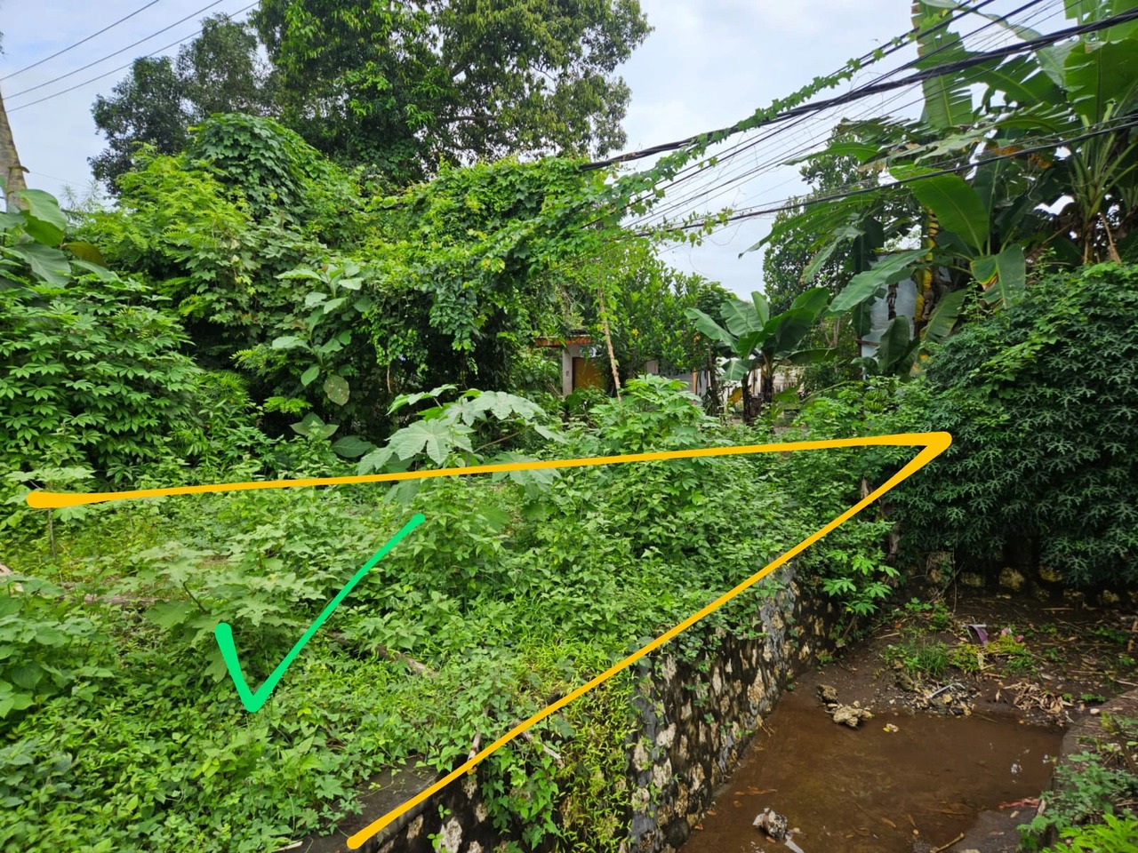 Freehold land 1 hectare nusa penida