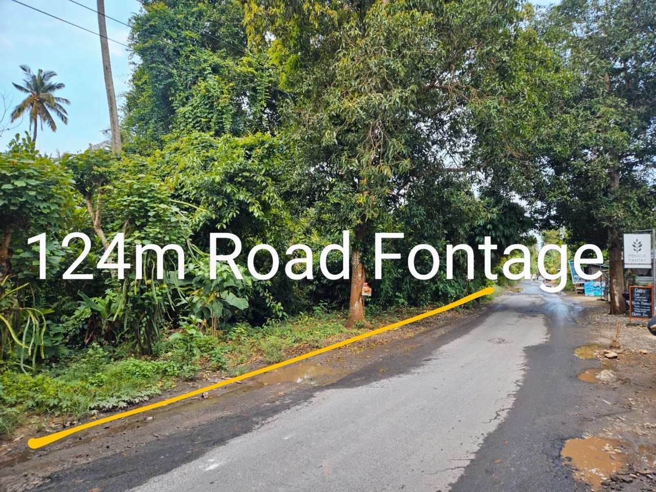 Freehold land 1 hectare nusa penida