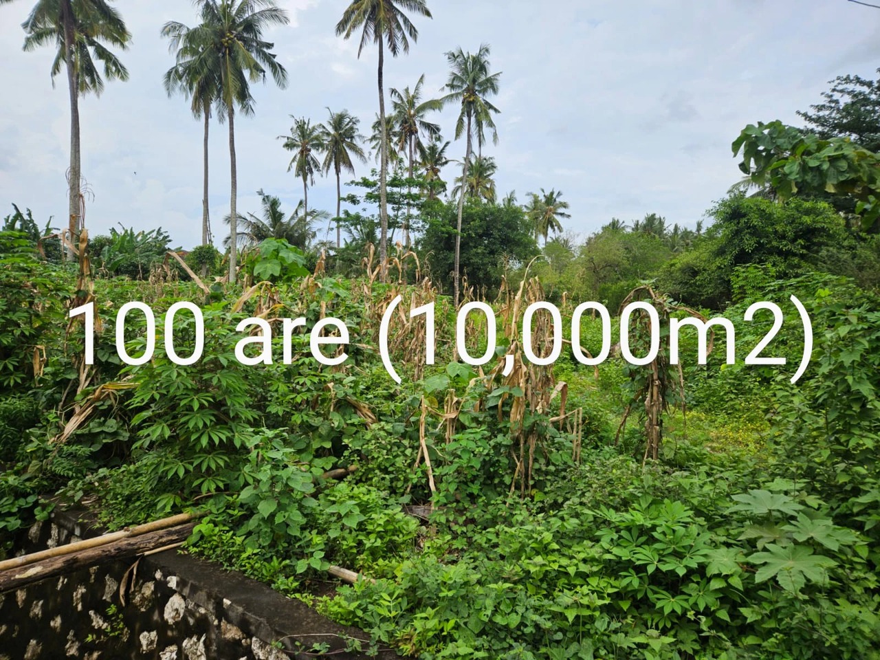 Freehold land 1 hectare nusa penida