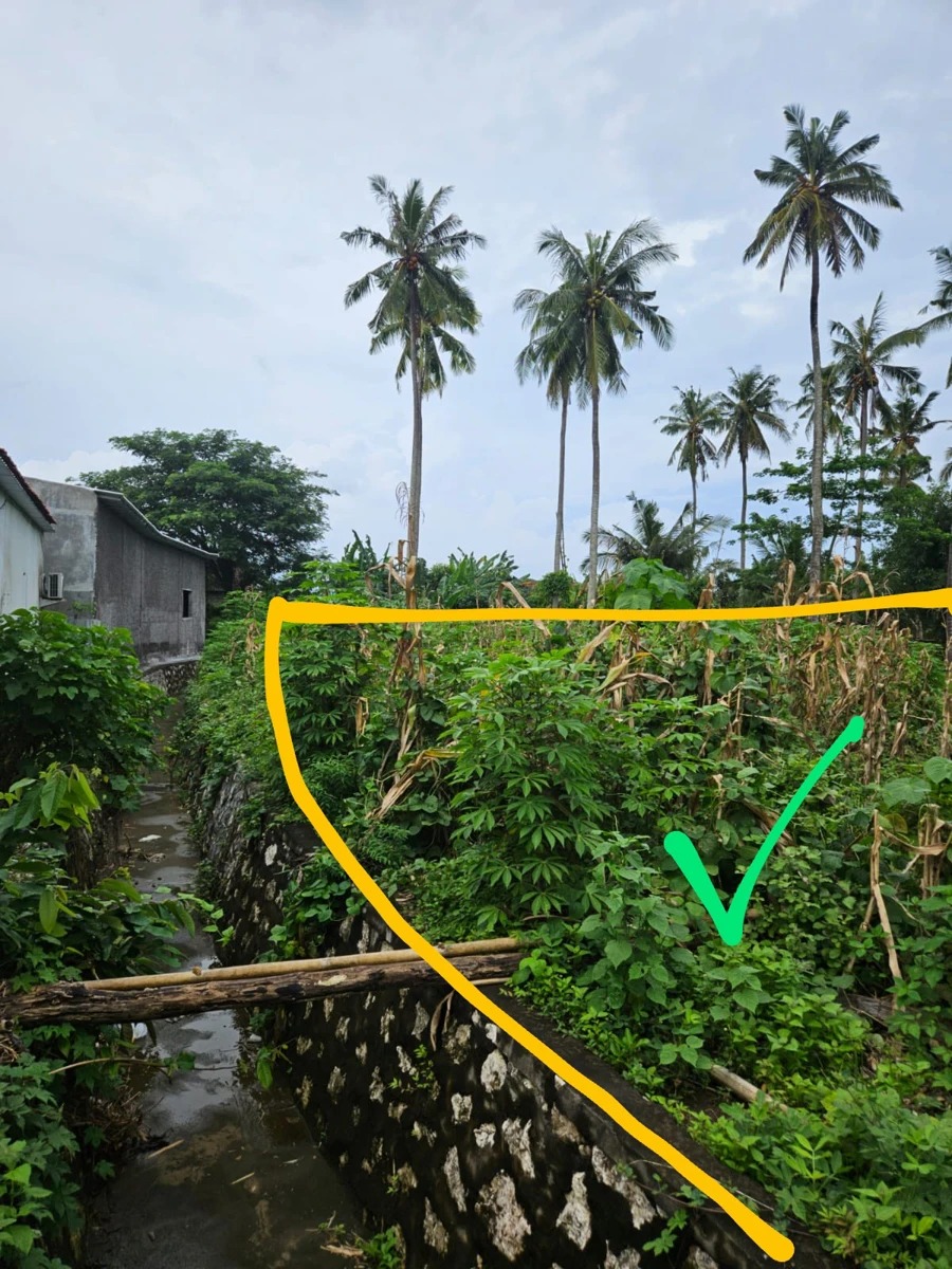 Freehold land 1 hectare nusa penida