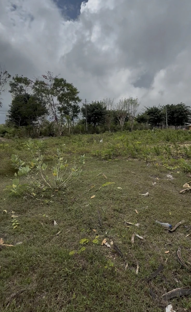 Land for Lease Pura Kulat (Green Zone)