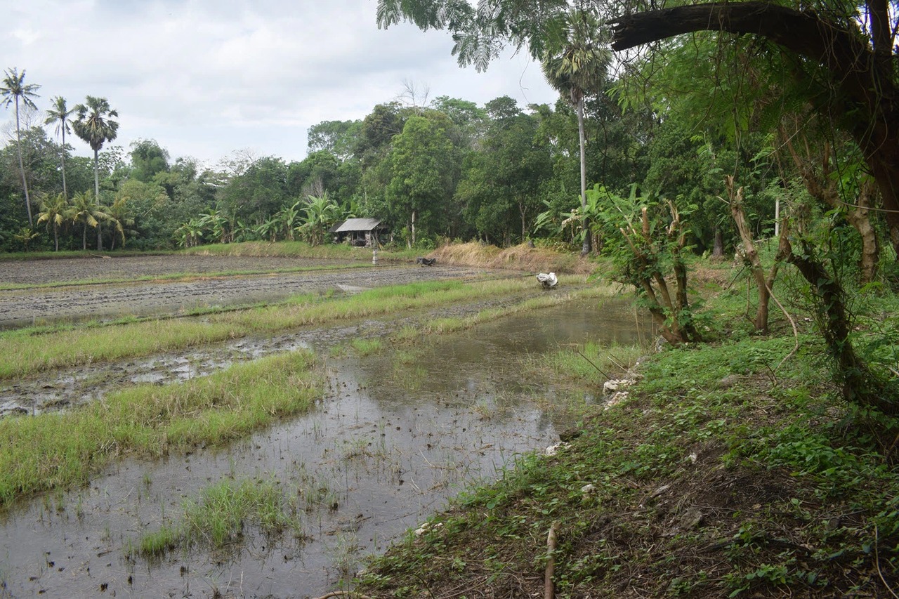 YEH GANGGA, 2,800m² Riverfront Land