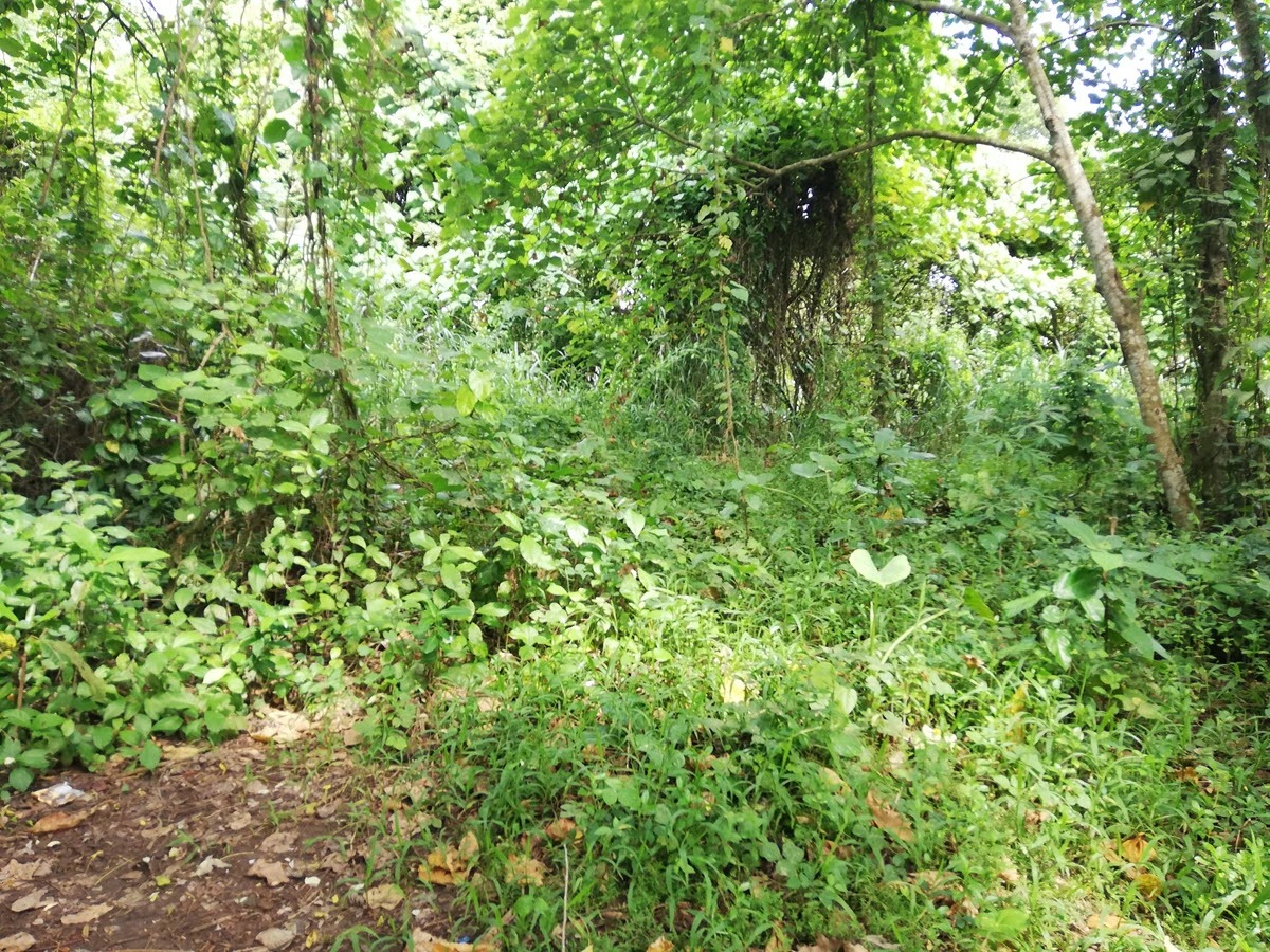 YEH GANGGA, 2,800m² Riverfront Land