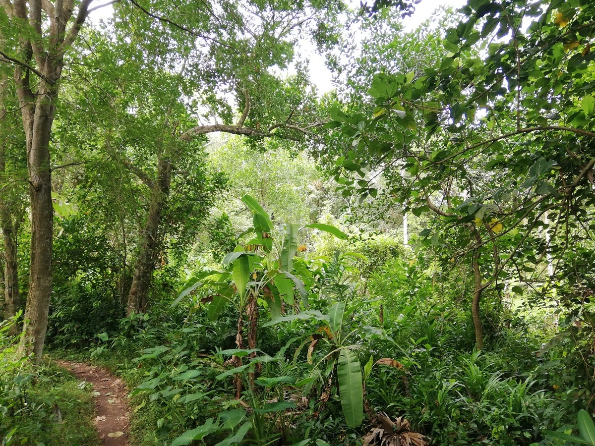 YEH GANGGA, 2,800m² Riverfront Land