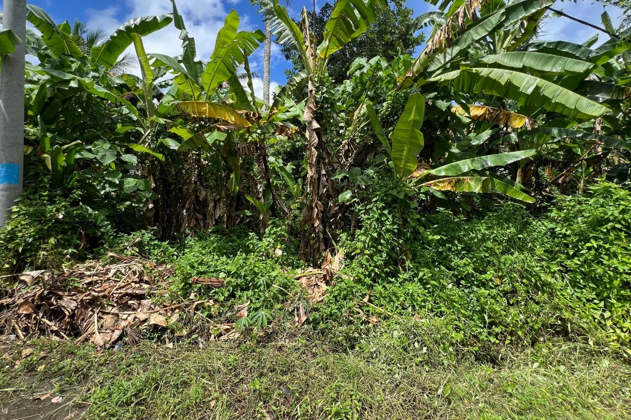 Leasehold - 300 sqm Land Near Yeh Gangga