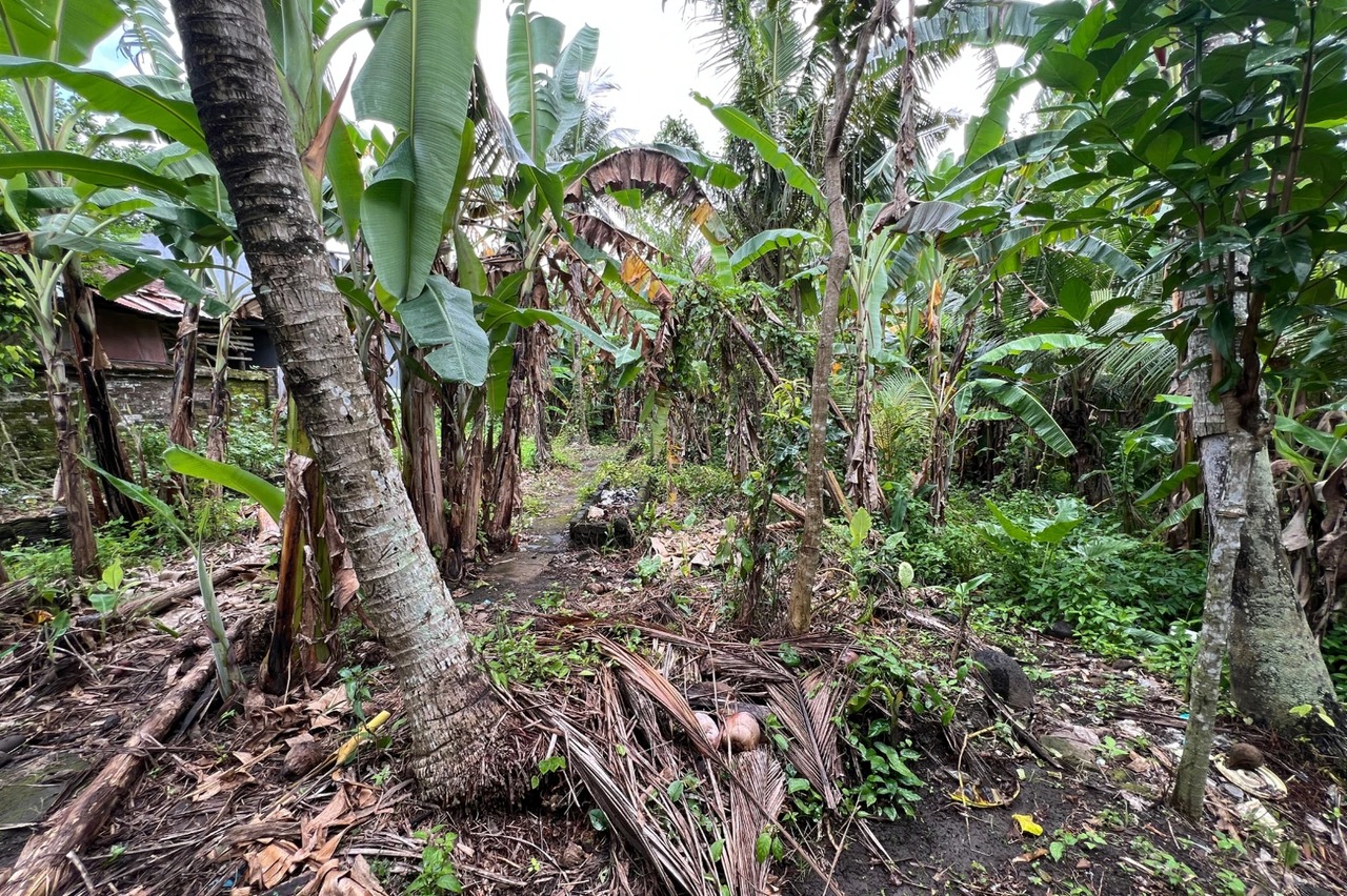 Leasehold - 300 sqm Land Near Yeh Gangga