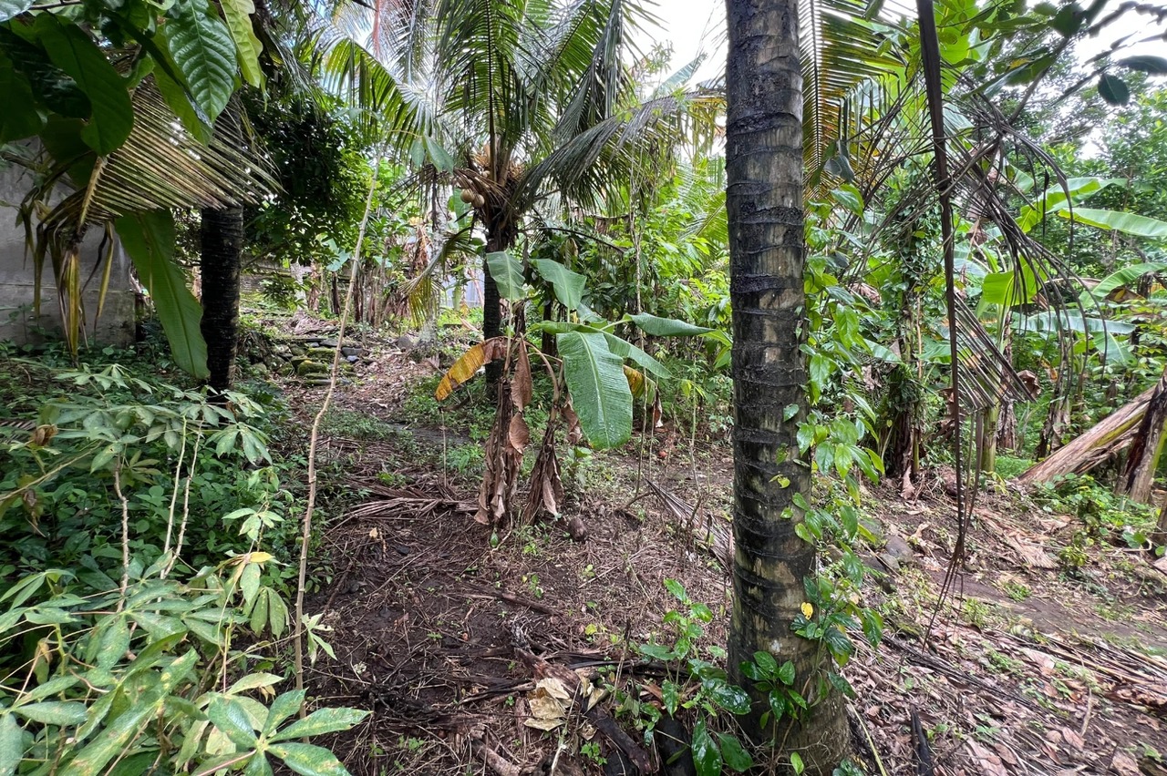 Leasehold - 300 sqm Land Near Yeh Gangga