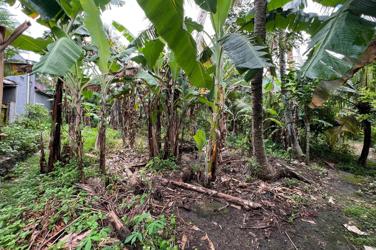 Leasehold - 300 sqm Land Near Yeh Gangga