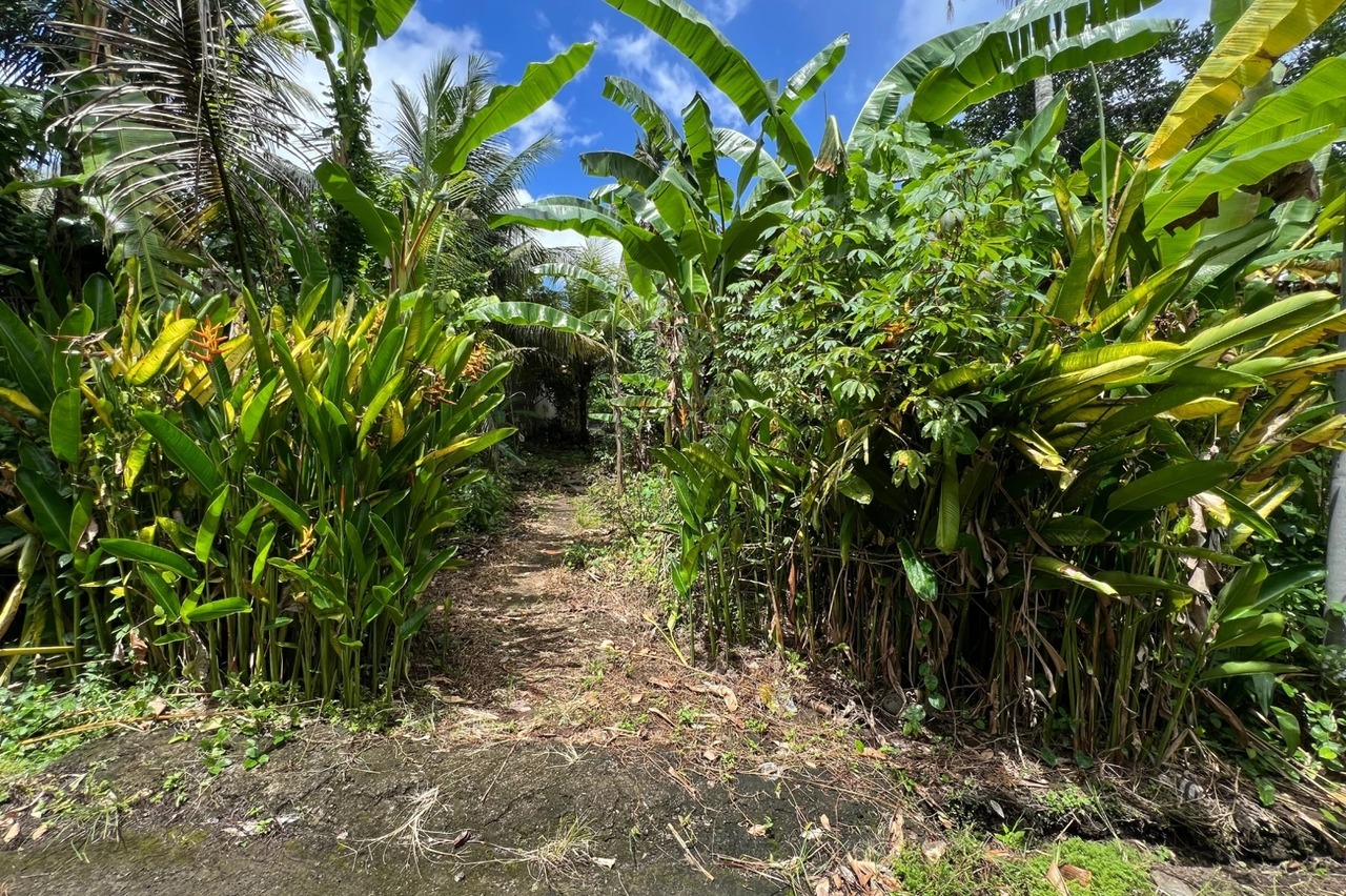 Leasehold - 300 sqm Land Near Yeh Gangga