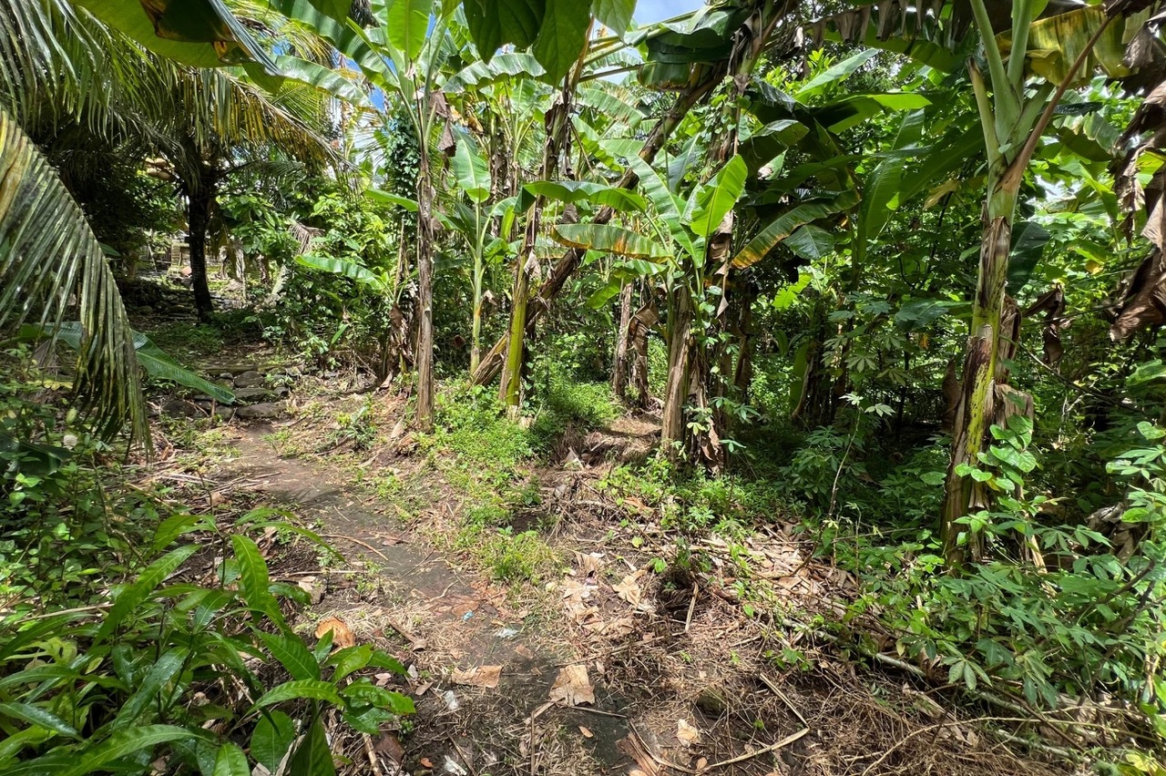 Leasehold - 300 sqm Land Near Yeh Gangga