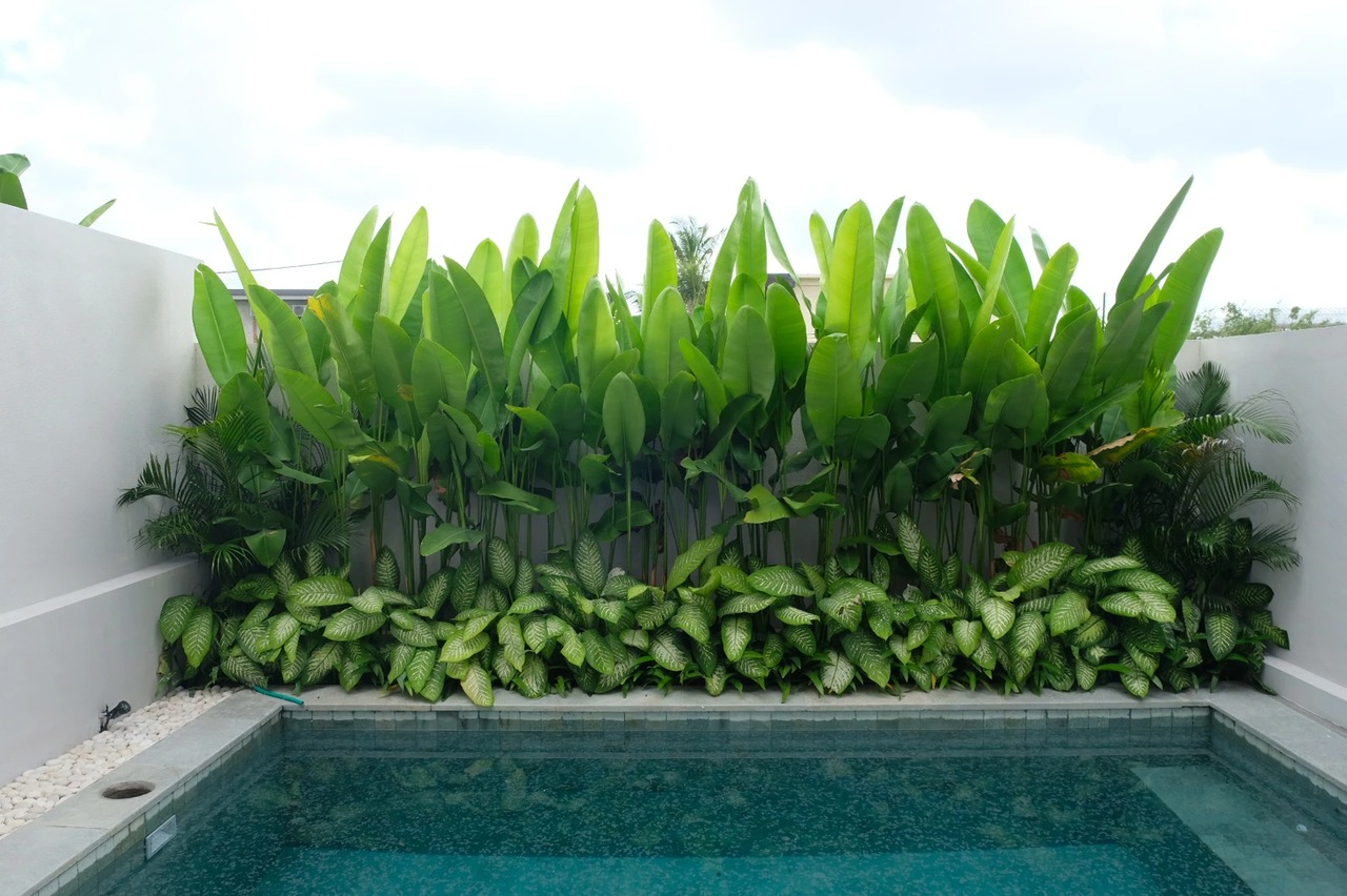 Modern design villa for Rent in parerena