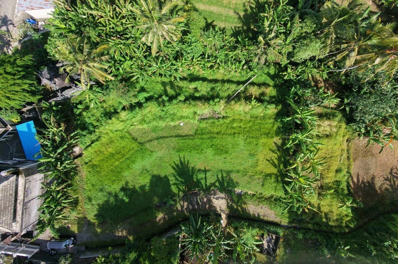 Big Plot 27 Are in Gubug For Leasehold