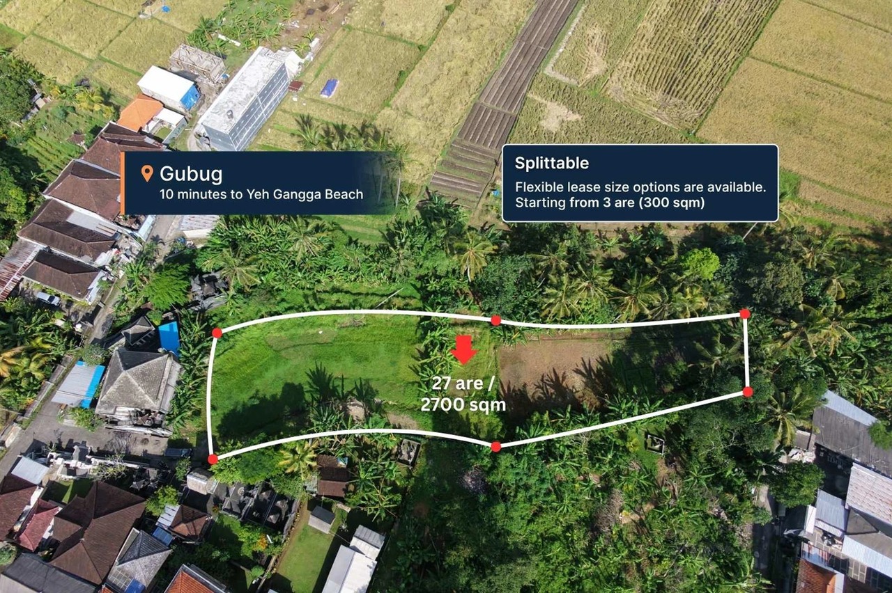 Big Plot 27 Are in Gubug For Leasehold