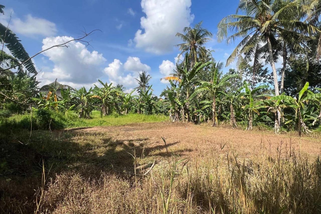 Big Plot 27 Are in Gubug For Leasehold
