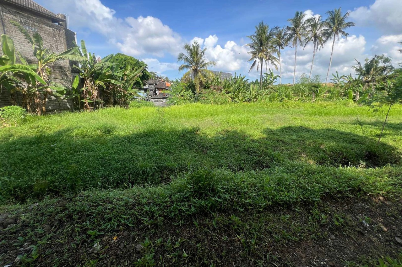 Big Plot 27 Are in Gubug For Leasehold