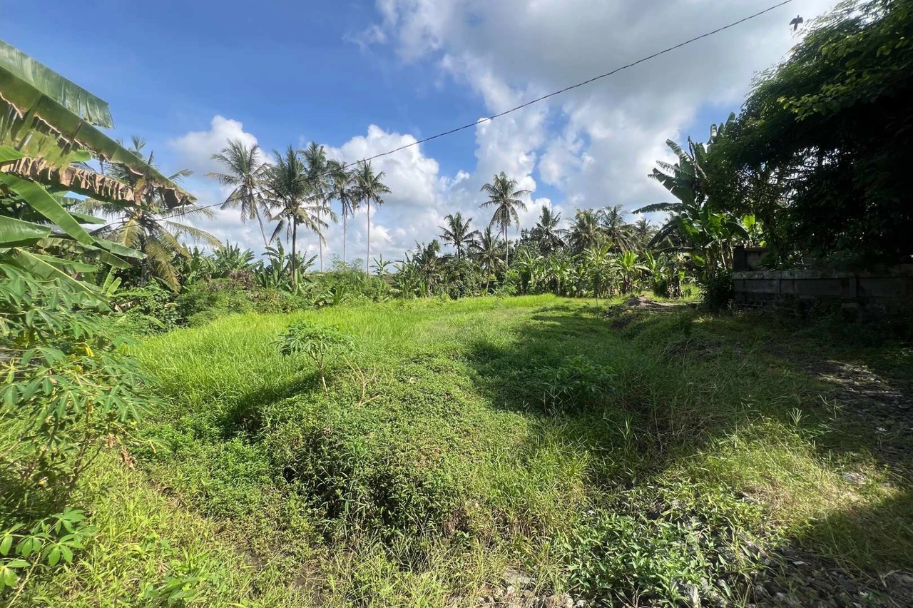 Big Plot 27 Are in Gubug For Leasehold