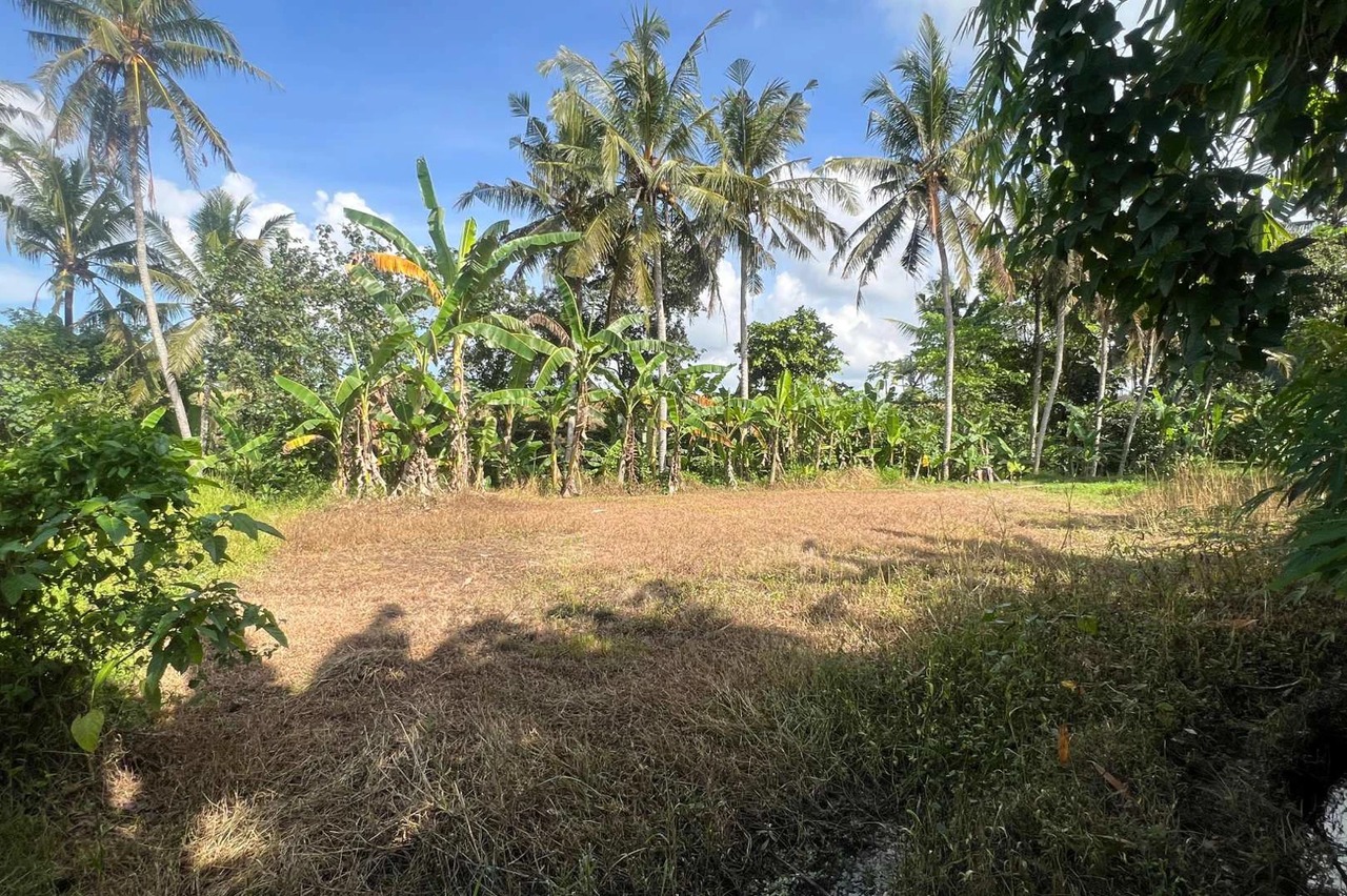 Big Plot 27 Are in Gubug For Leasehold