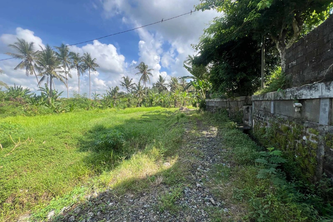 Big Plot 27 Are in Gubug For Leasehold