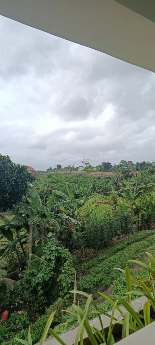 Joglo villa for Rent in Munggu