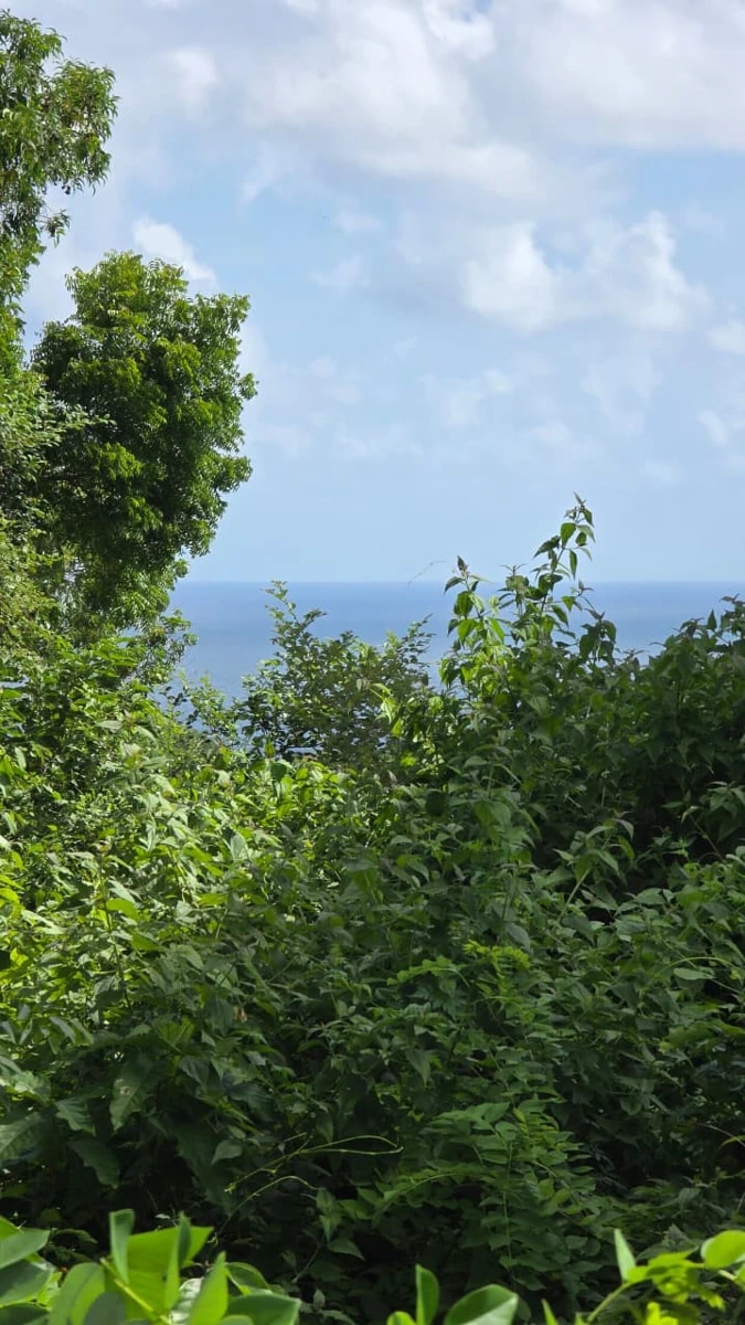 DO 134 - LAND FOR SALE IN KUTUH BALI