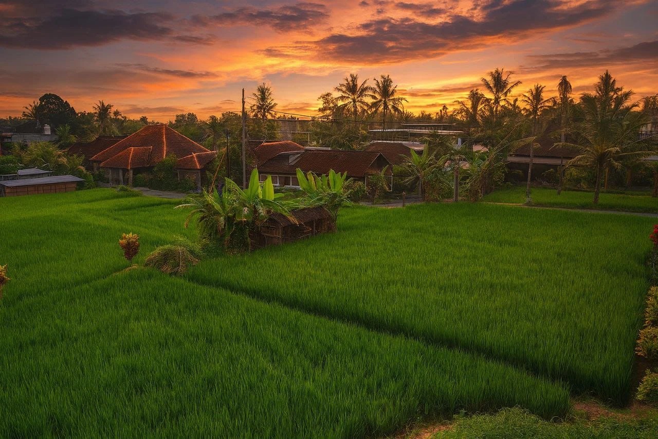 Modern 2BR Villa w/ Rice Field & Sunset 